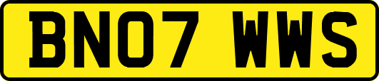 BN07WWS