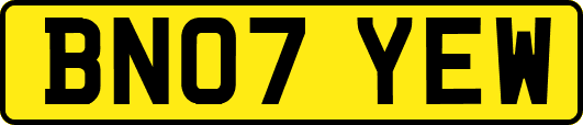 BN07YEW