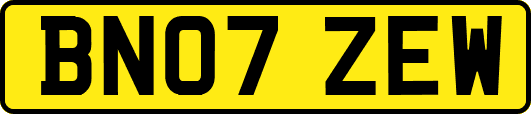 BN07ZEW