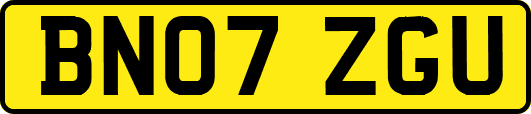 BN07ZGU