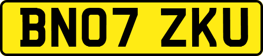 BN07ZKU