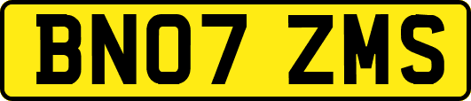 BN07ZMS