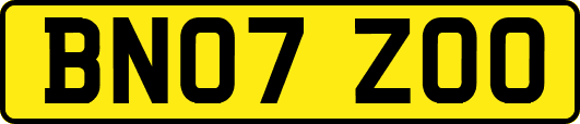 BN07ZOO
