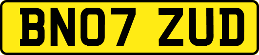 BN07ZUD