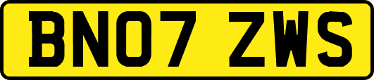 BN07ZWS