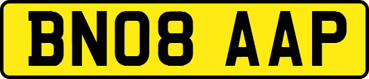 BN08AAP
