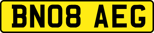 BN08AEG