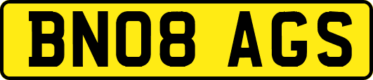 BN08AGS