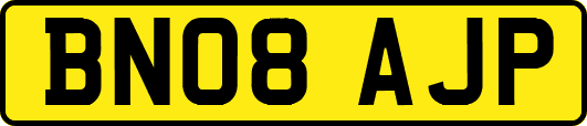 BN08AJP