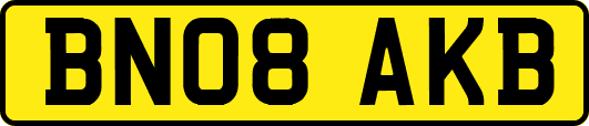 BN08AKB