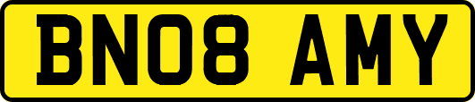 BN08AMY