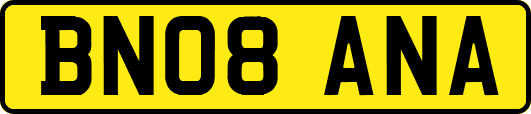BN08ANA