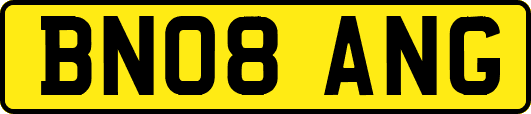 BN08ANG