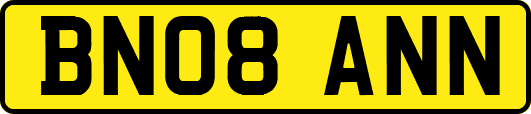 BN08ANN