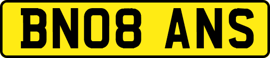 BN08ANS