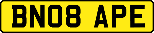 BN08APE