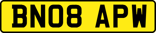 BN08APW