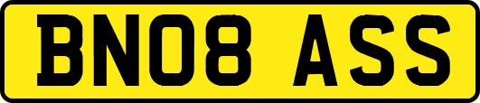 BN08ASS