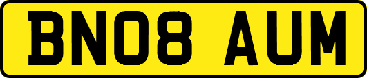 BN08AUM