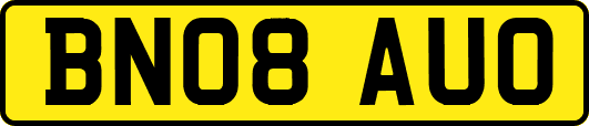 BN08AUO