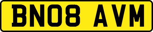 BN08AVM