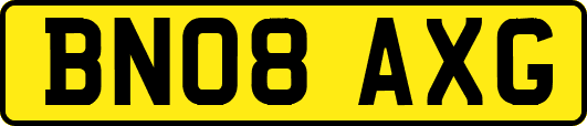 BN08AXG