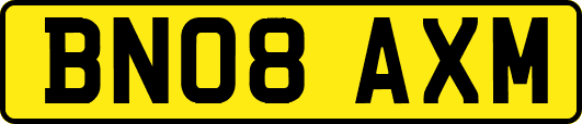 BN08AXM