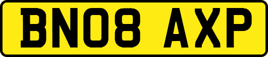 BN08AXP