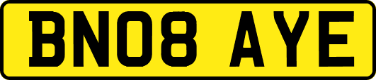 BN08AYE