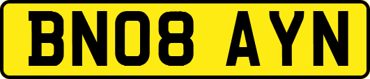 BN08AYN
