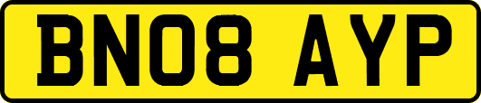 BN08AYP