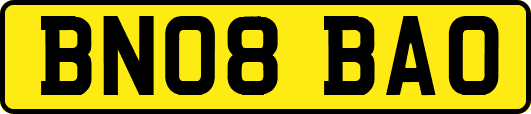 BN08BAO