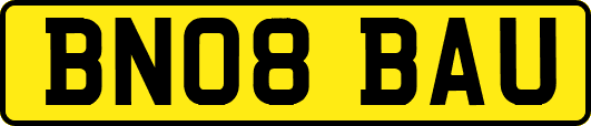 BN08BAU