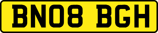 BN08BGH