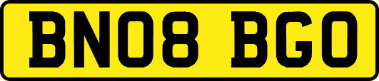 BN08BGO