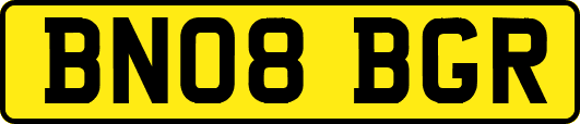 BN08BGR