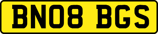 BN08BGS