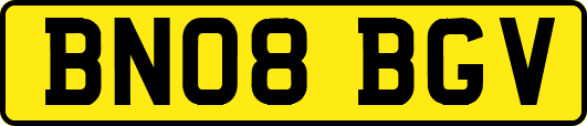BN08BGV