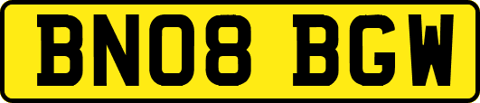 BN08BGW