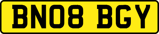 BN08BGY