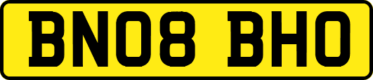 BN08BHO