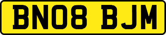 BN08BJM