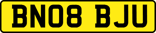 BN08BJU