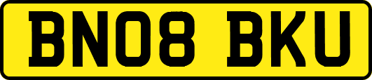BN08BKU