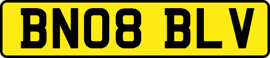 BN08BLV