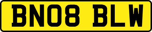 BN08BLW