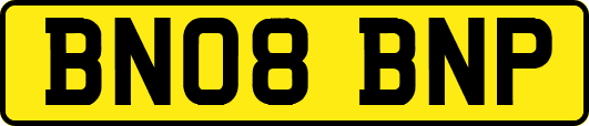 BN08BNP