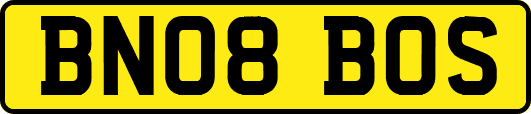 BN08BOS
