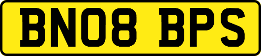 BN08BPS
