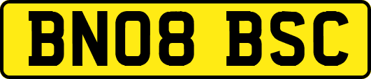BN08BSC